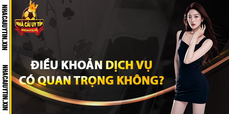 Điều khoản dịch vụ có quan trọng không?