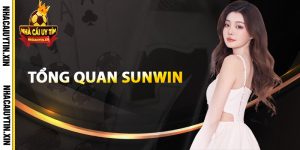Giới thiệu tổng quan Sunwin