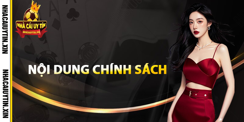 Nội dung chính sách bảo mật đặc biệt