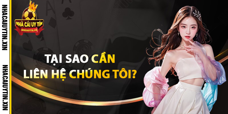 Tại sao cần liên hệ chúng tôi?